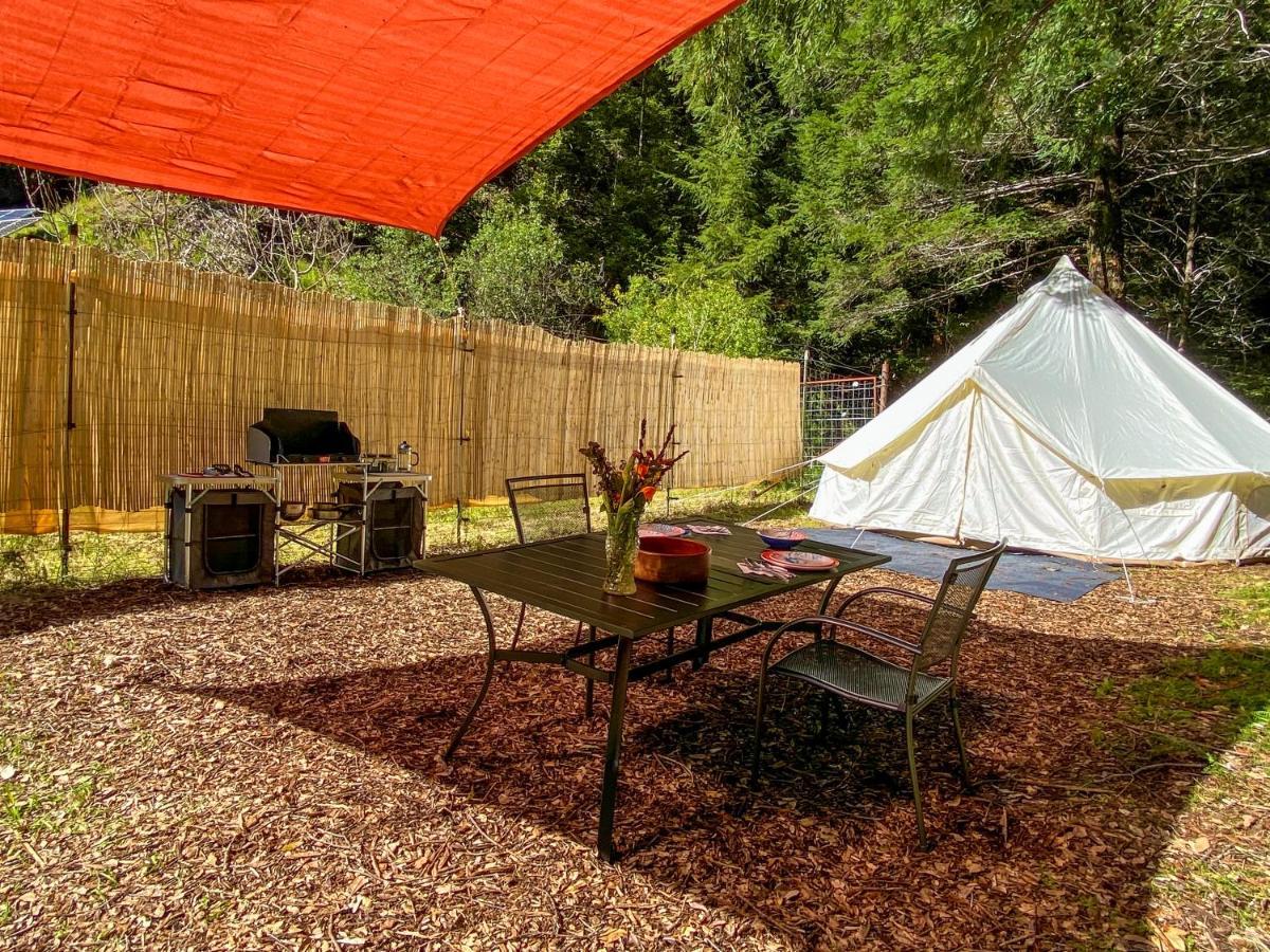 Glamping In The Redwoods With A Hot Tub! Hotel Garberville Eksteriør billede