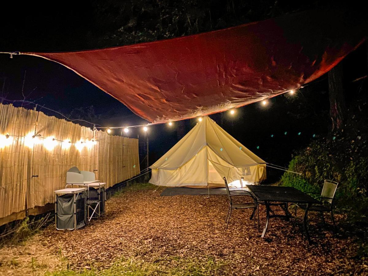 Glamping In The Redwoods With A Hot Tub! Hotel Garberville Eksteriør billede