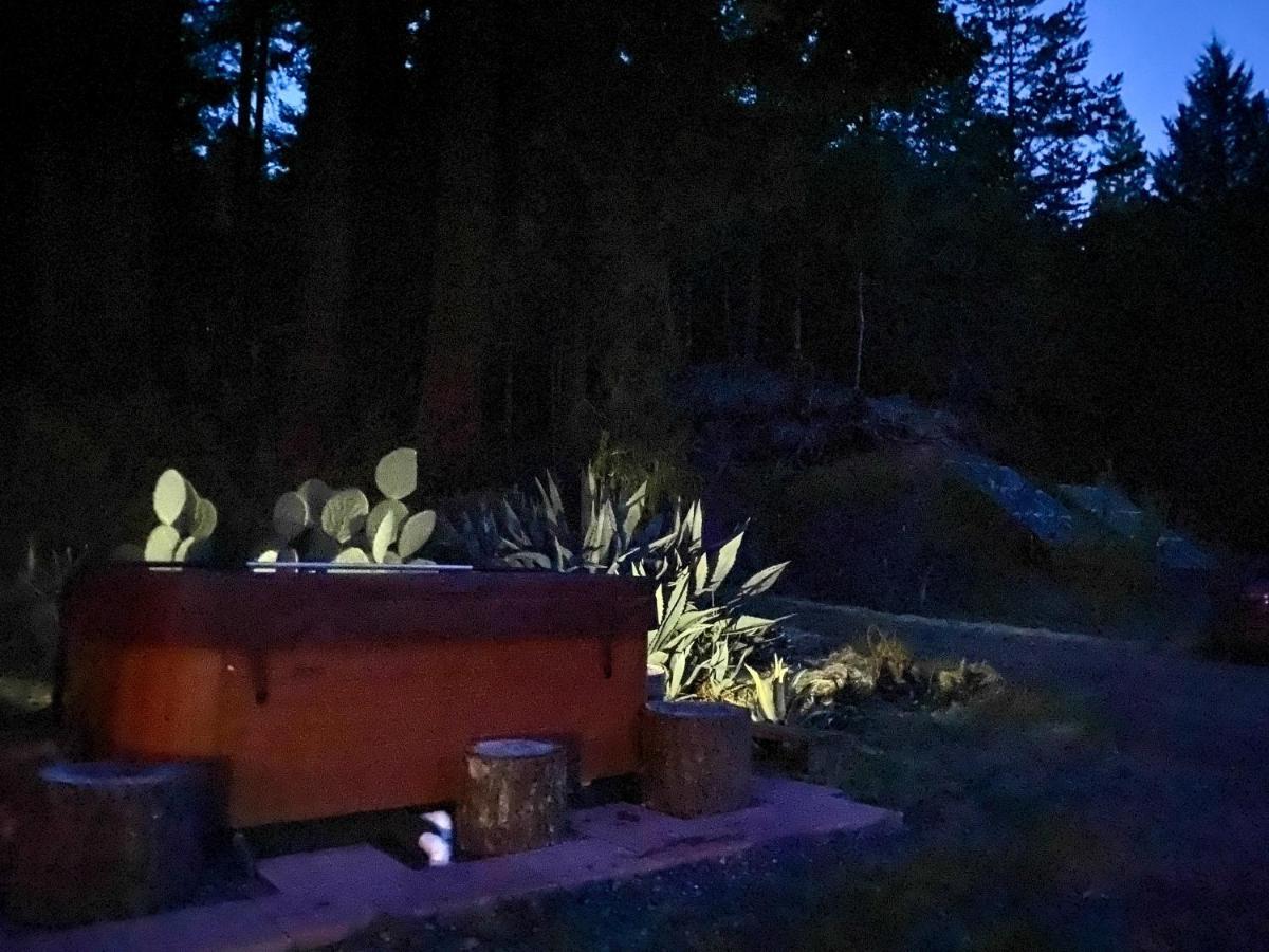 Glamping In The Redwoods With A Hot Tub! Hotel Garberville Eksteriør billede