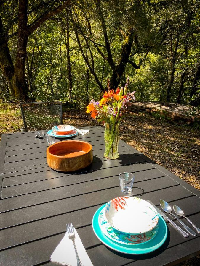 Glamping In The Redwoods With A Hot Tub! Hotel Garberville Eksteriør billede