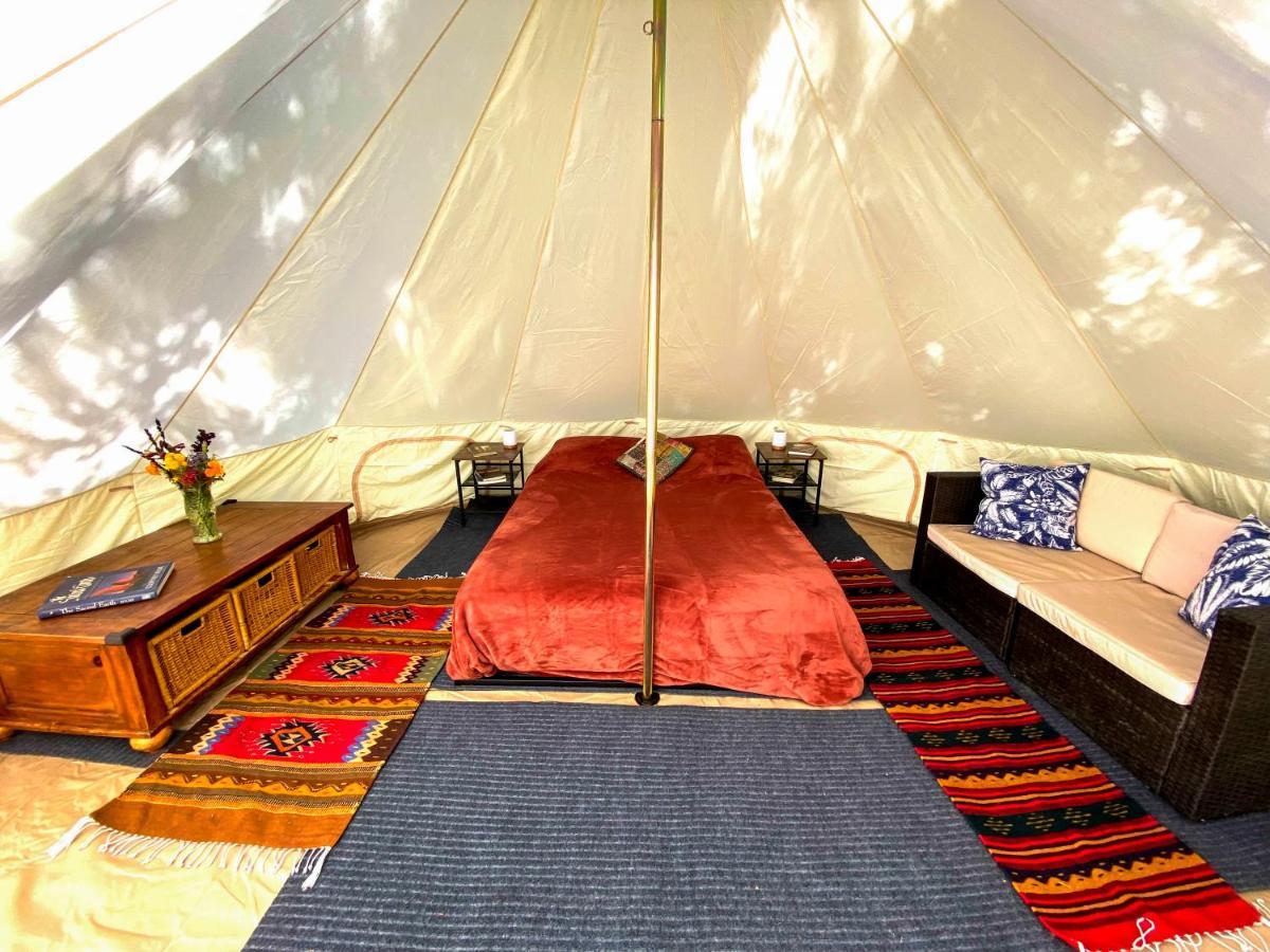 Glamping In The Redwoods With A Hot Tub! Hotel Garberville Eksteriør billede
