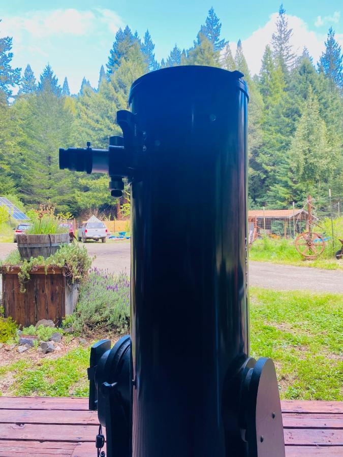 Glamping In The Redwoods With A Hot Tub! Hotel Garberville Eksteriør billede