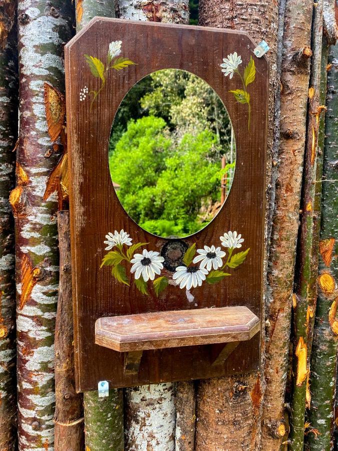 Glamping In The Redwoods With A Hot Tub! Hotel Garberville Eksteriør billede